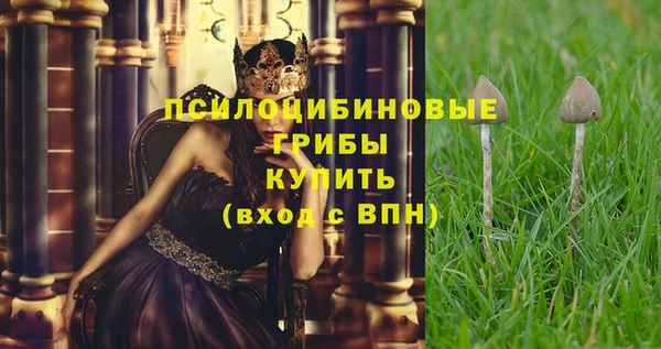 прущая мука Баксан
