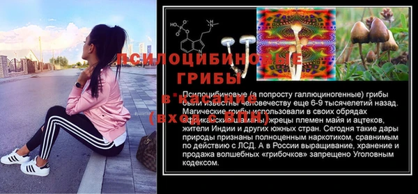 прущая мука Баксан