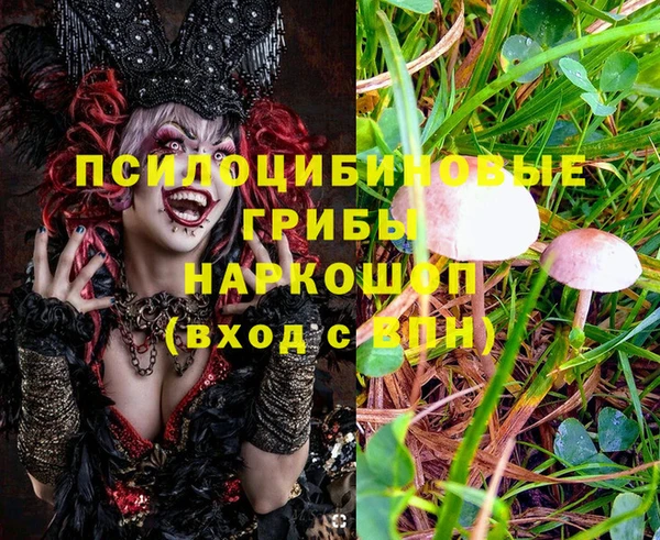 тгк Балахна