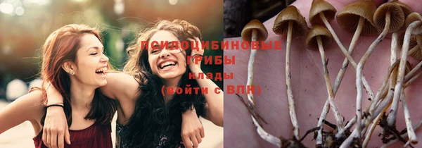 тгк Балахна